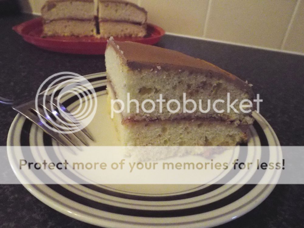 Food Sponge cake with cocoa cream cheese icing Inspirations have I none